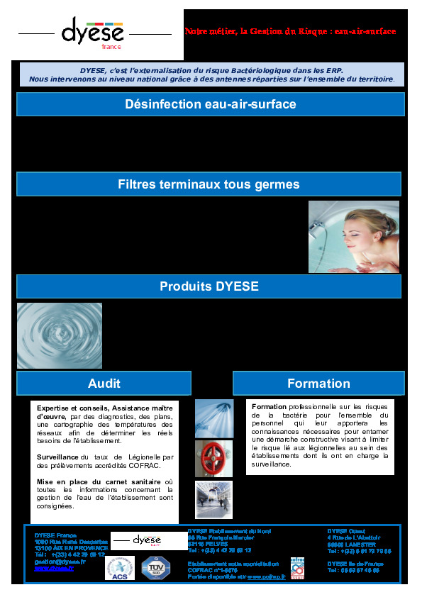 Image du document pdf : Flyer Pre?sentation Prestations Dyese  