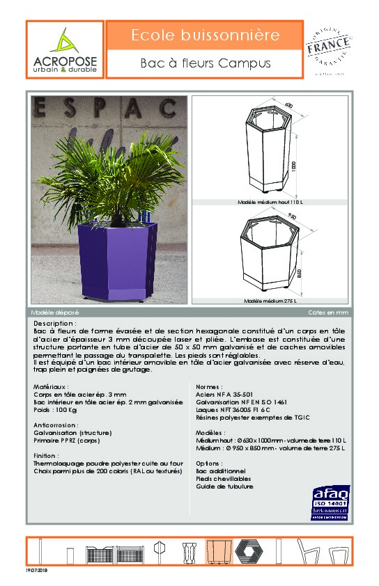 Image du document pdf : buissonniere-campus-bac-fleur-fp.pdf  