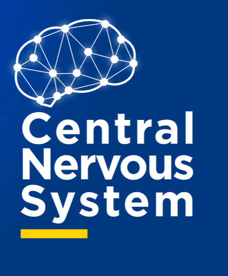 Central Nervous System