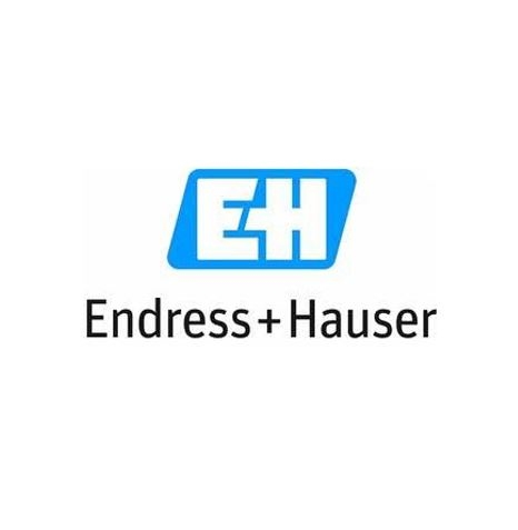 Avatar Endress+Hauser SASU